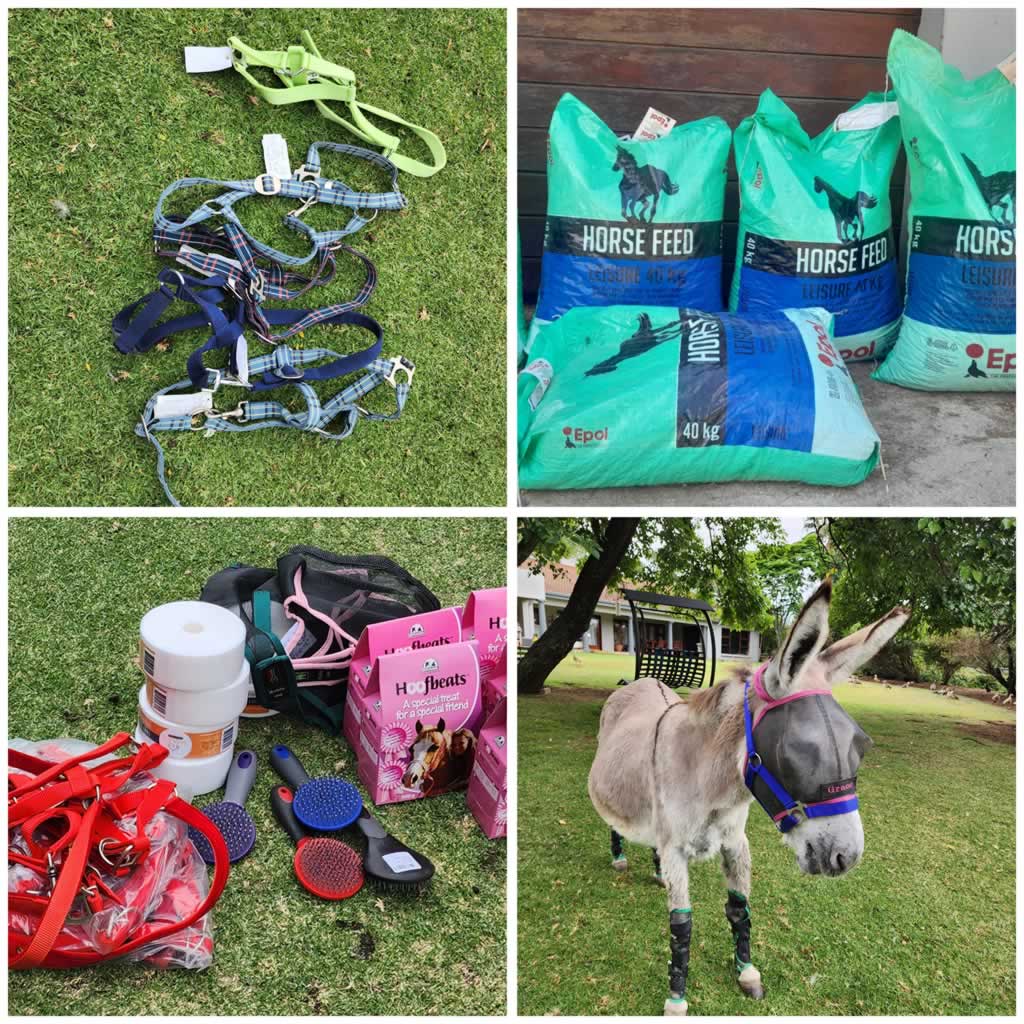 Rest ur Ass Donkey Sanctuary